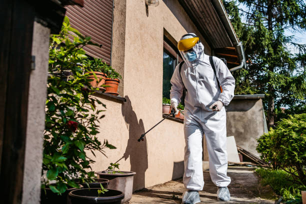 Best Affordable Pest Control Services  in Elizabeth, CO