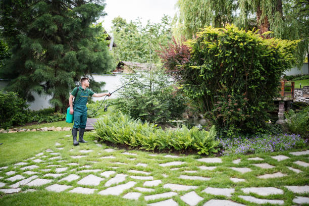 Best Exterminator Services  in Elizabeth, CO