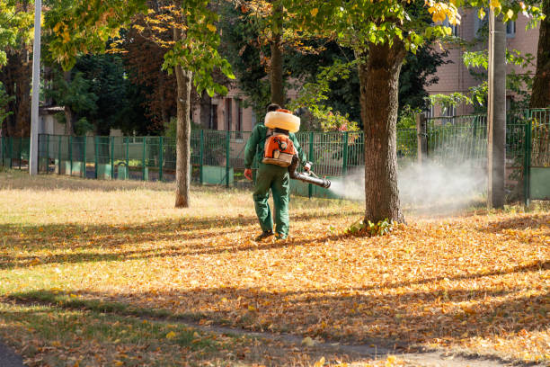 Best Affordable Pest Control Services  in Elizabeth, CO