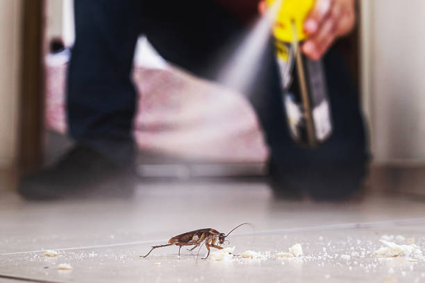 Best Best Pest Control Companies  in Elizabeth, CO